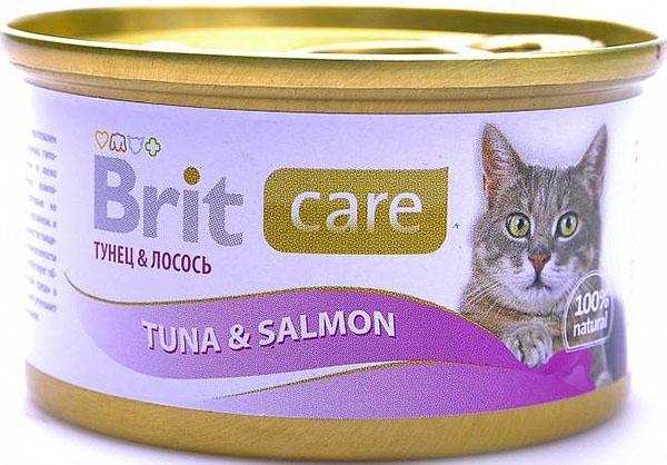 comida británica húmeda para gatos