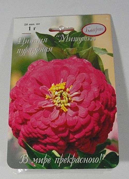 ours en peluche zinnia