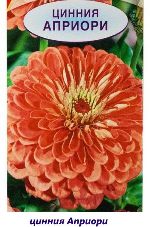 zinnia a priori