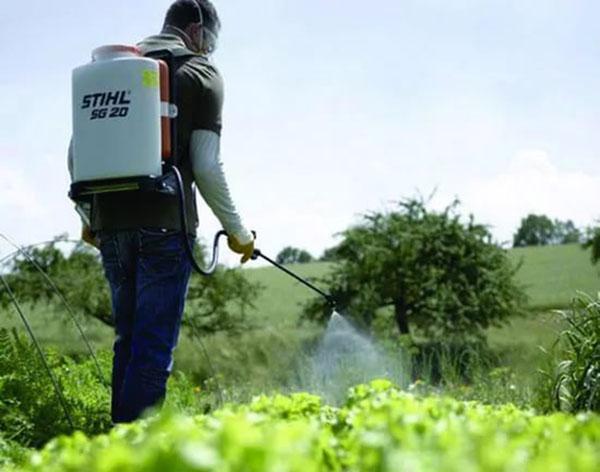 pulverizador eléctrico en el trabajo en el país