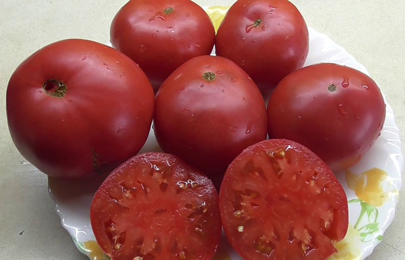 corte de tomate maravilla de la tierra