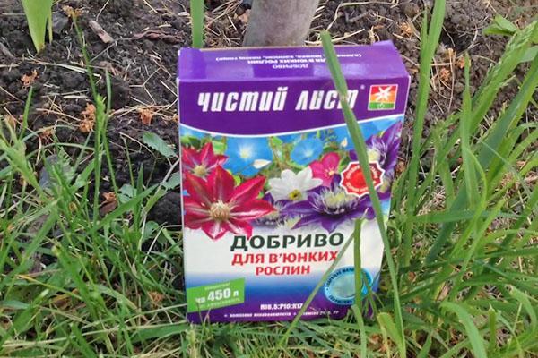 fertilizante para clemátide
