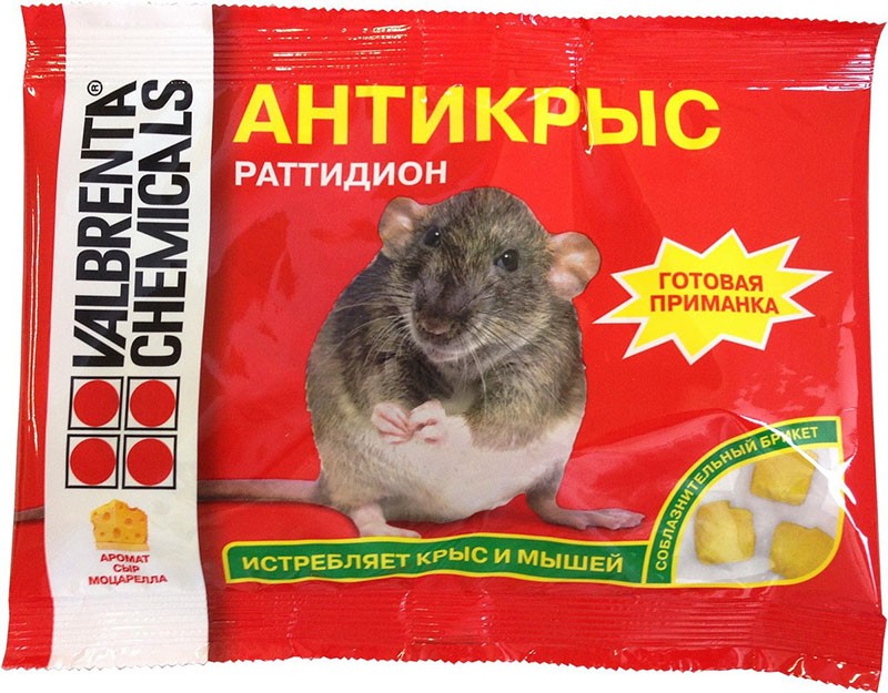 rattidion anti-rata