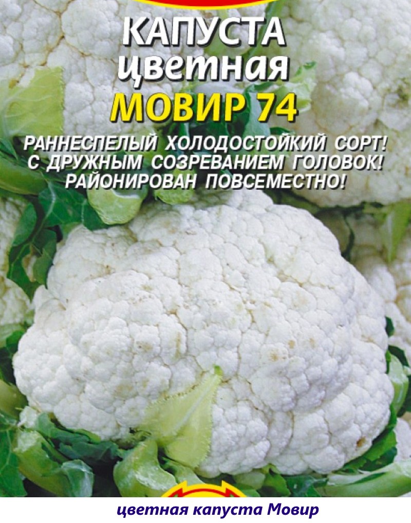 movir de coliflor