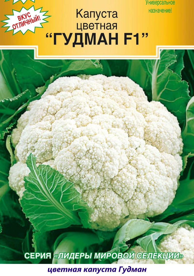 coliflor goodman