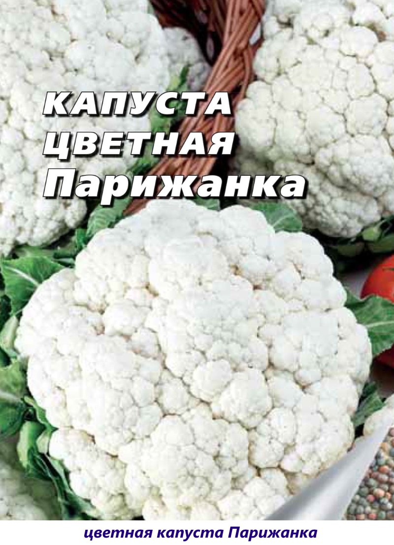 coliflor parisina