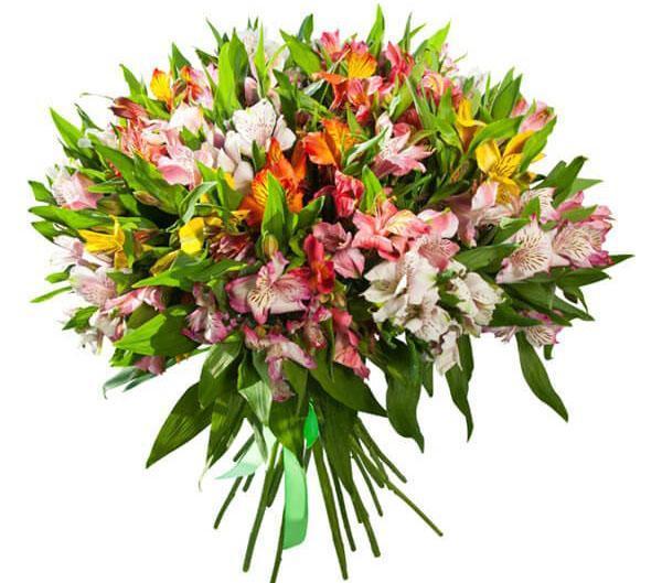 variétés d'alstroemeria dans un bouquet