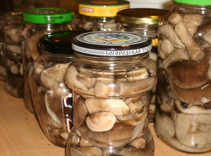 champignons instantanés