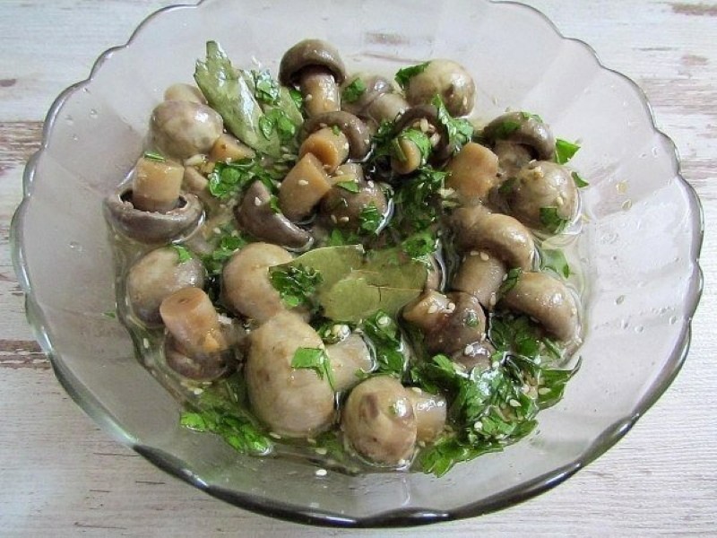 hongos en coreano