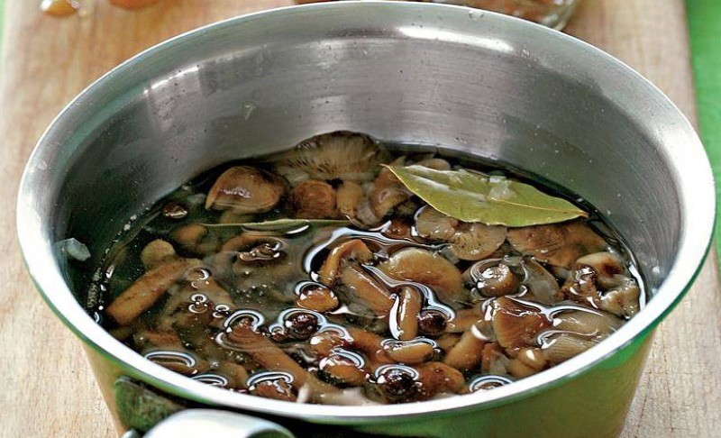pepinillo para champiñones en escabeche