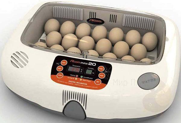 Incubateur avec retournement automatique des œufs