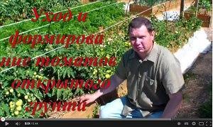 Medvedev