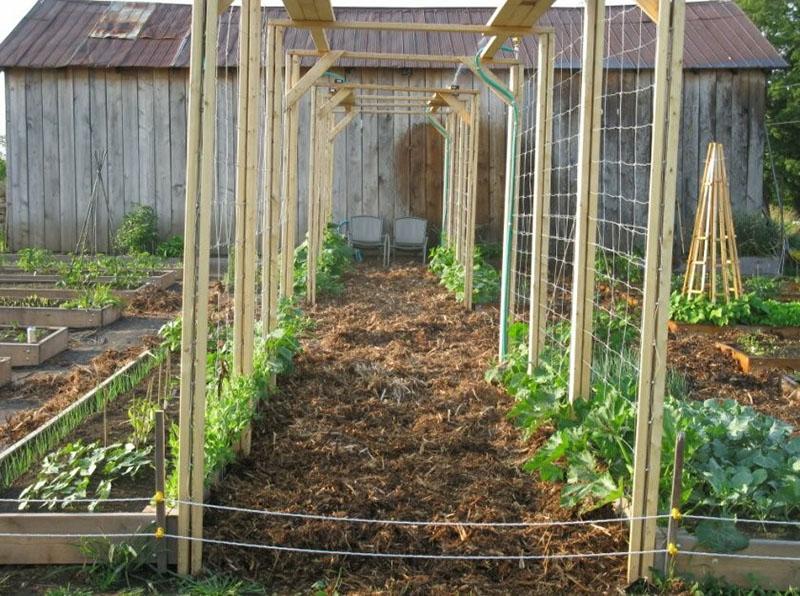 red de enrejado para pepinos en el jardín