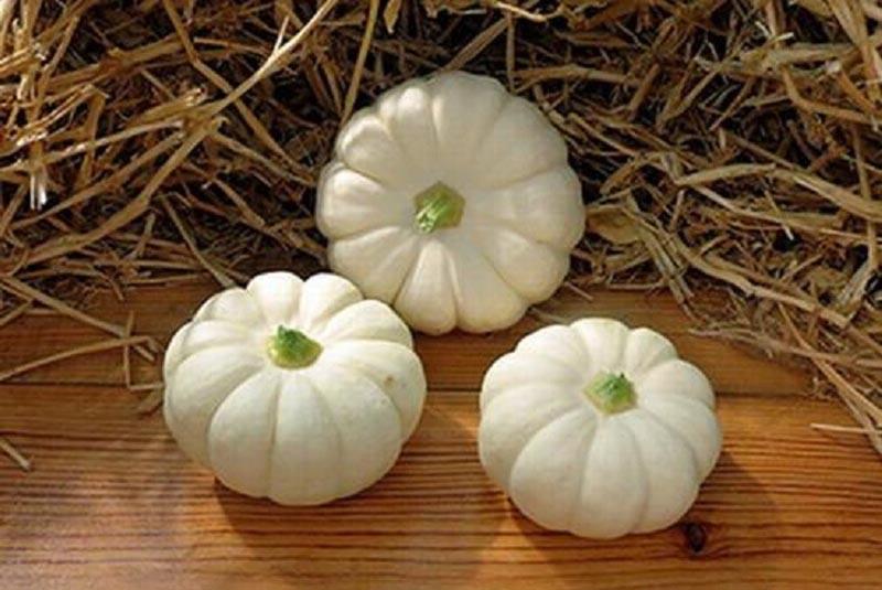 Variedad de calabaza china Baby-bu