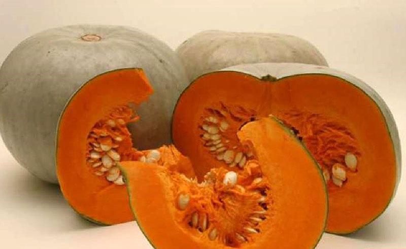 variedades de calabaza de setas de invierno