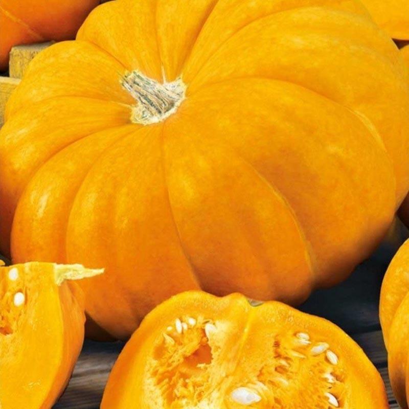 Calabaza dorada parisina