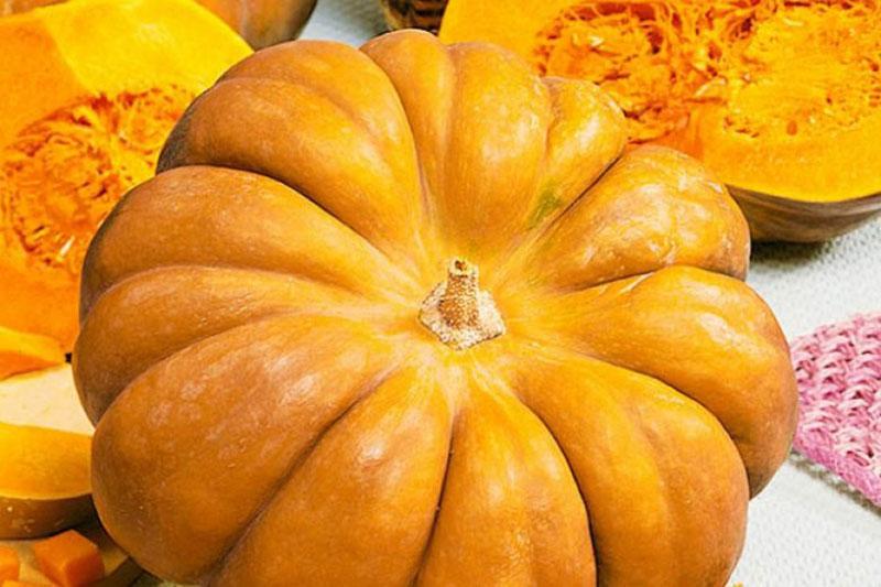 variedades de calabaza nuez moscada provenzal