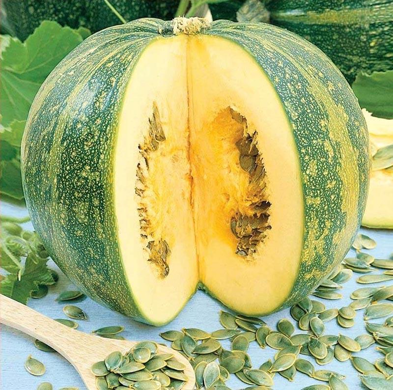 calabaza dura