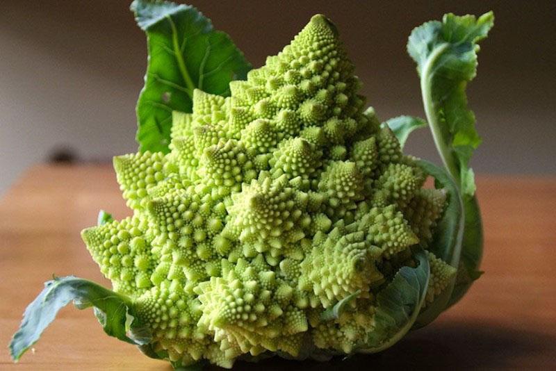 repollo romanesco