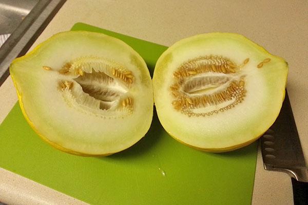 Melons cassaba d'été