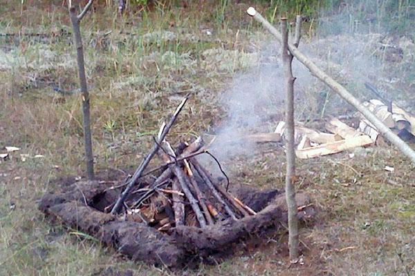 quemando un tocón de árbol viejo