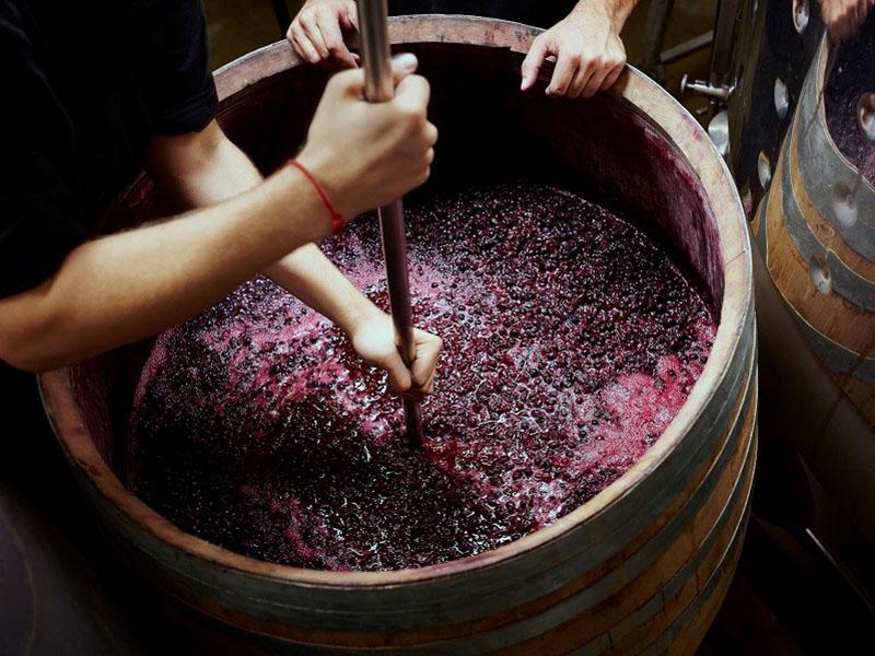 preparación de mosto