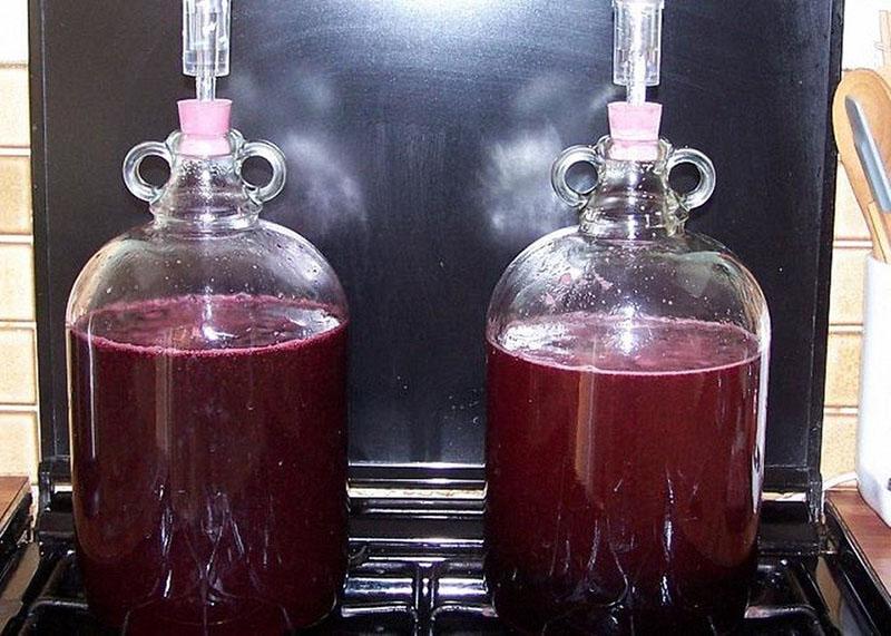 fermentación del vino de uva