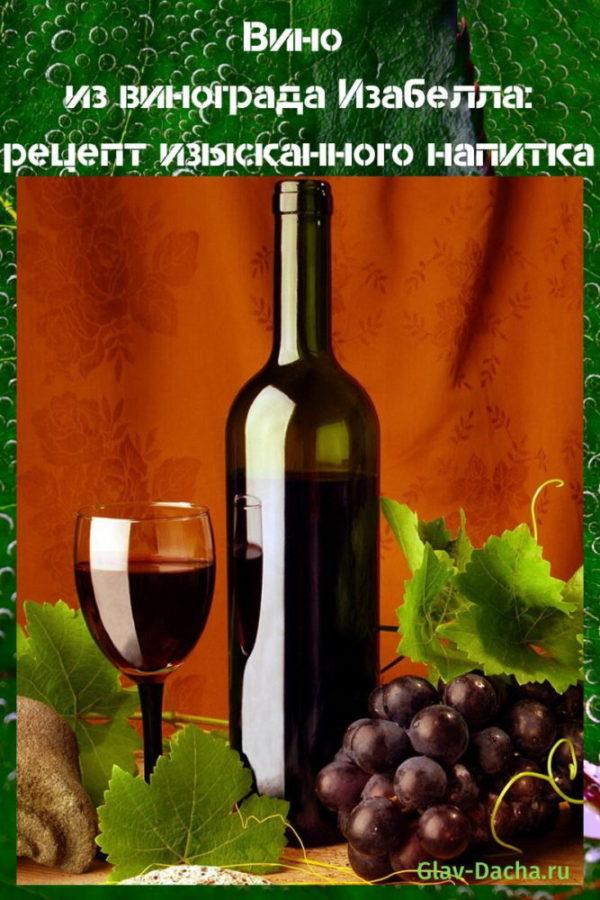 Receta de vino de uva Isabella