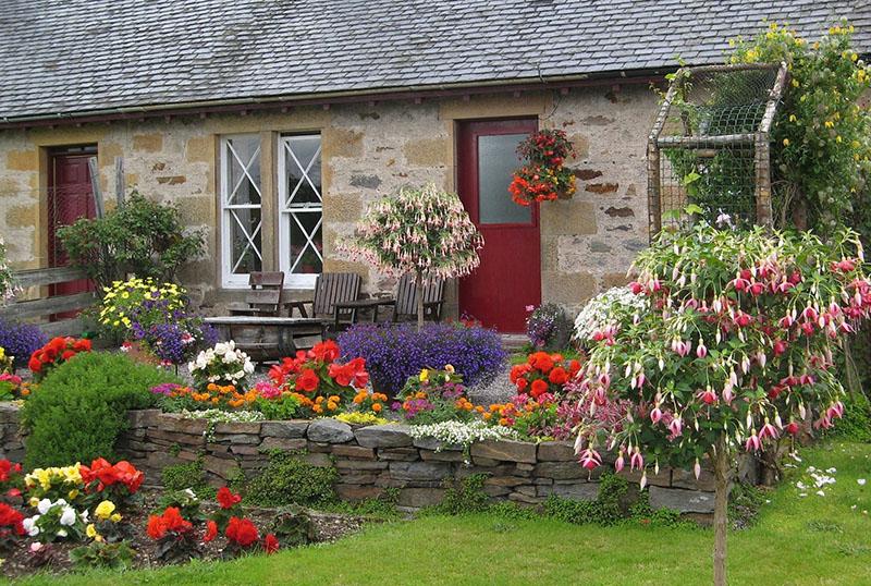 fleurs dans le pays pour la région