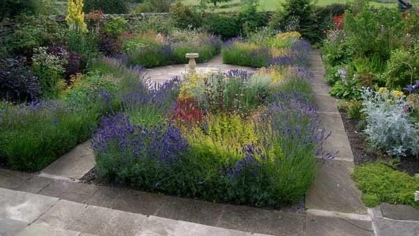 macizo de flores con plantas medicinales.