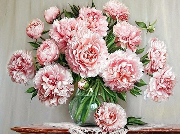 pivoines roses