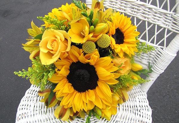 tournesol, roses et herbes
