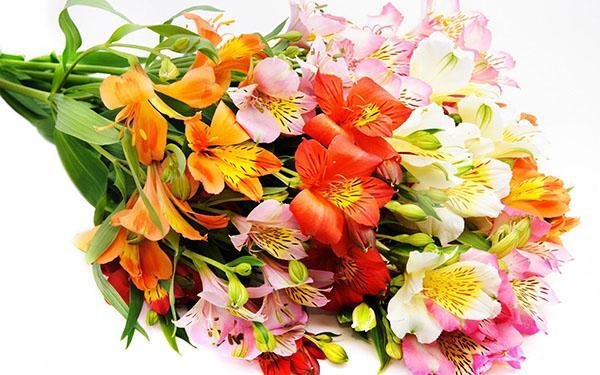 composition personnelle d'un bouquet