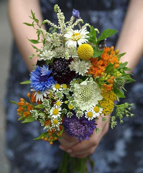 un ramo de flores silvestres