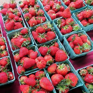 Fraises dans des tasses