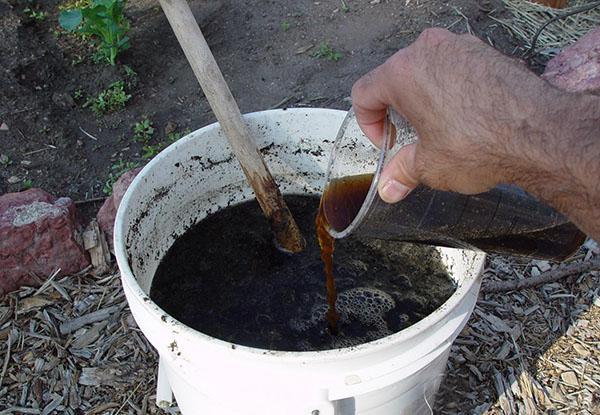 engrais liquide pour prunes