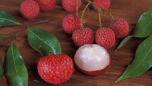 litchi