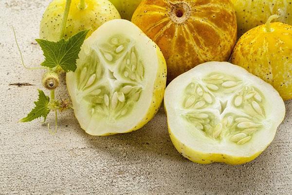 ogurlimon en coupe