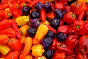 différentes variétés de poivre