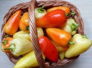 variétés de poivrons