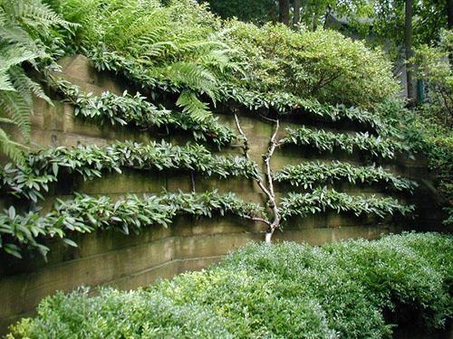 belle mise en forme le long du mur