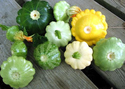 Des courges si différentes sur notre table