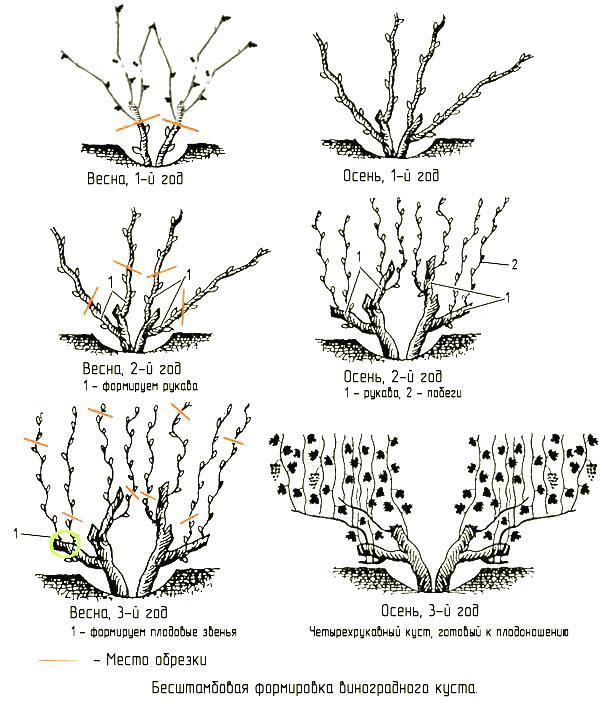 Façonnage de buisson sans estampage