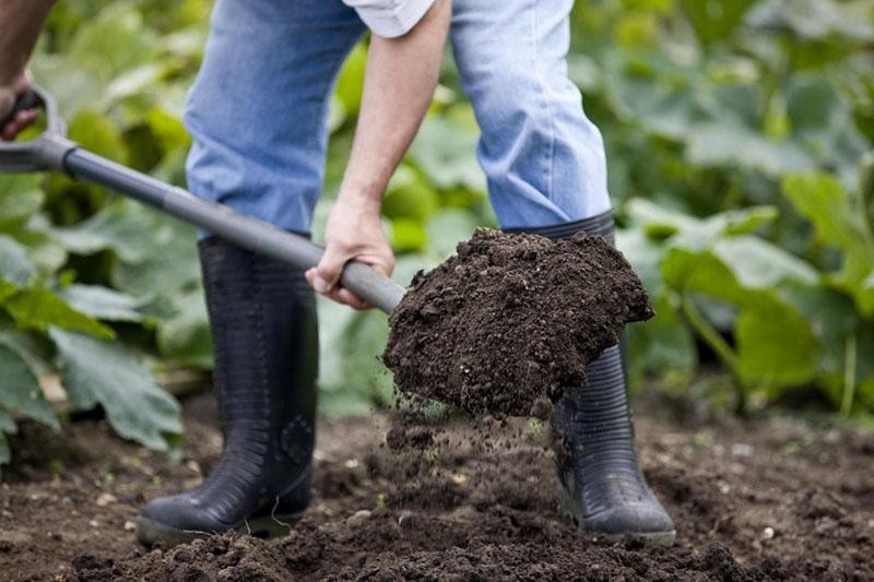 preparación de un macizo de flores para plantar