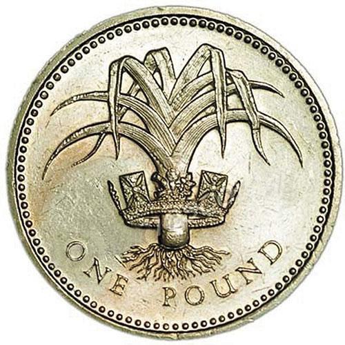 moneda de puerro