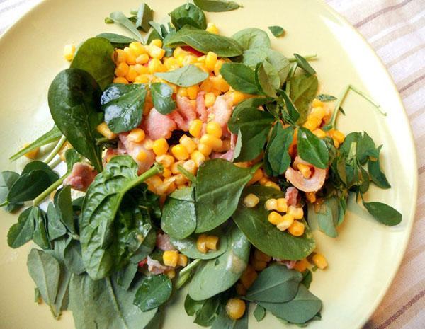 marjolaine en salade