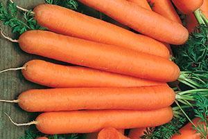 Zanahorias albóndigas