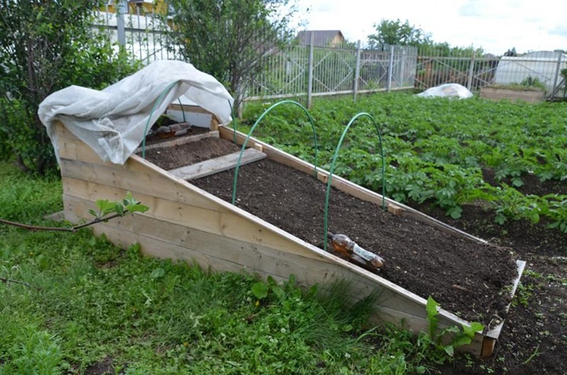 preparación del jardín