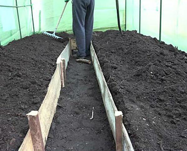 suelo fértil para tomates