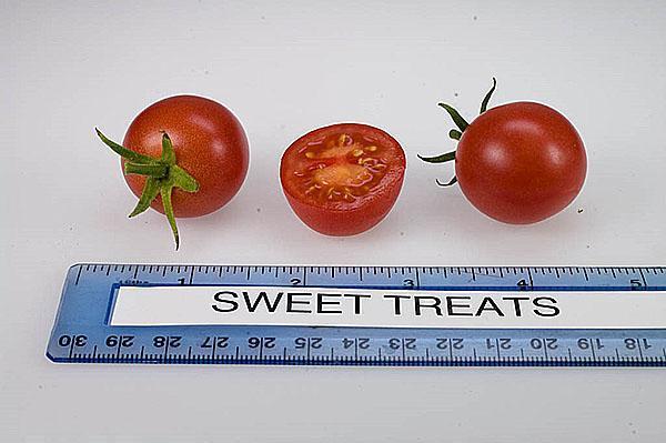 variété Sweet Trits
